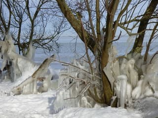 Vandaag begint de winter. Wat gaat het worden? 