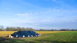 Bieten zijn afgedekt voor de voorspelde nachtvorst