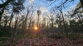 Zon zakt weer, kortste dag van het jaar