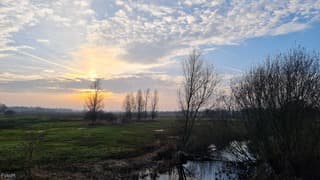 De kortste dag bij het Lieversche diepje