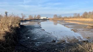 Laag water in de Vogelplas op De Zaag , natuureiland in de Nieuwe Maas 