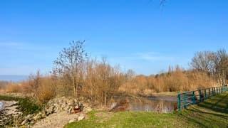 Lekker in het zonnetje zitten  bij het kiezelstrandje aan de Nieuwe Maas  