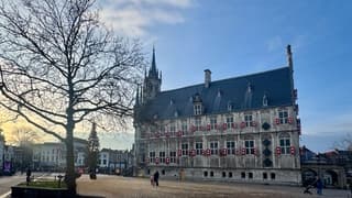 Zon en sluierbewolking 