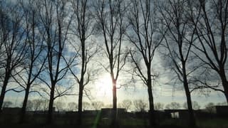 Vanmiddag zon en soms wolken