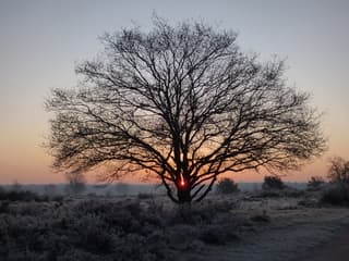 Dat wordt genieten met de kerst!