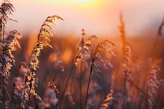 Zonsokomst in Volgermeer onder de wolken van Asmsterdam