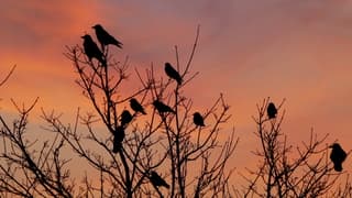 Gespannen in afwachting..