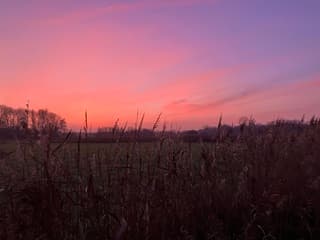 Prachtig begin van de dag 