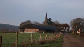Persingen in de ochtendzon