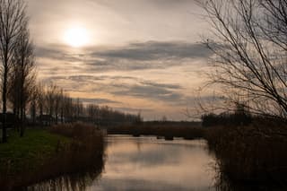 waterig zonnetje in groenezoom in pijnacker.