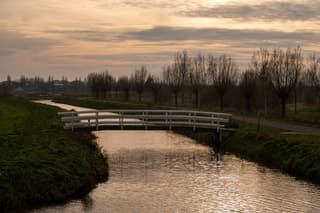 Groenezoom pijnacker