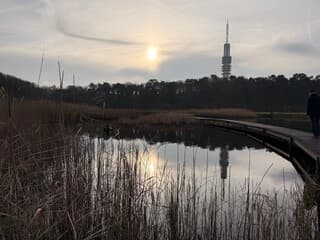 Goois Natuurreservaat