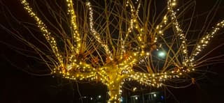 Lichtjes branden in Beverwijk vanavond 