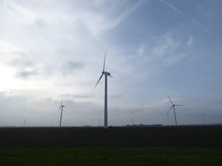 De wind maakt het extra koud!