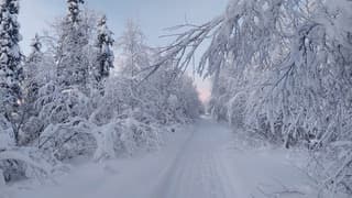 Witte kerst in Zweeds Lapland
