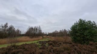 Bewolkt, gure wind en grijs in een natuurpark in centrum Leusden