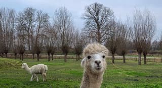 Ja het is koud hoor met die wind 