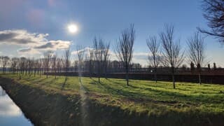 Eindelijk weer de zon, enkele wolken maar ijskoude wind. 