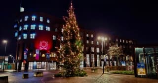 Beverwijk de avond valt. mooie kertboom