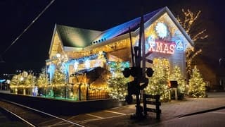 Stationnetje Arkel is uitbundig versierd