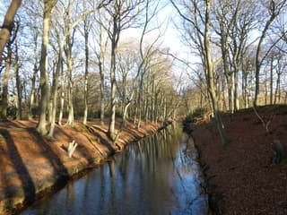 zonnig en koud Den Haag