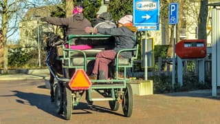 Zonnig en koud, warm gekleed op de paardenkar