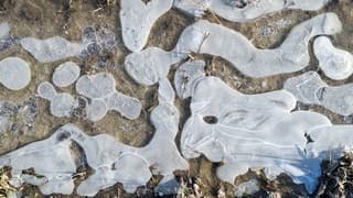 Kunstwerkjes der natuur