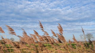 Even was er bewolking maar ook een stevige wind