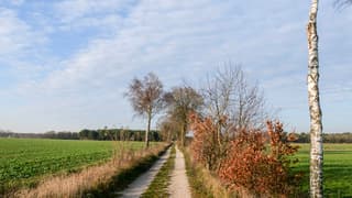 Bewolking in de middag