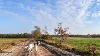 Bewolking in de middag