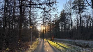 De eerste zonnestralen 