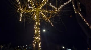 Eerste kerstdag in Beverwijk 