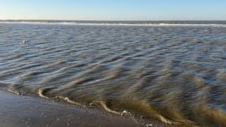 Oostenwind op de Noordzee 