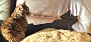 Achter glas en in het zonnetje is het goed toeven 