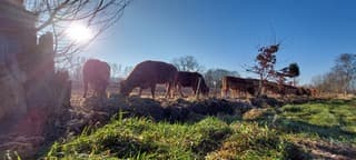 Koud maar lekker zonnetje.