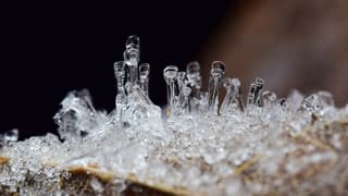 Ijskristallen op een blad