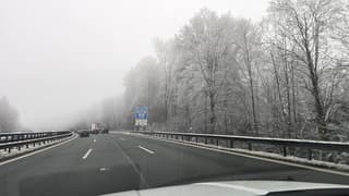 Bomen mooi wit in de mist bij münchen