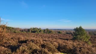 Wederom nagenoeg strakblauw 