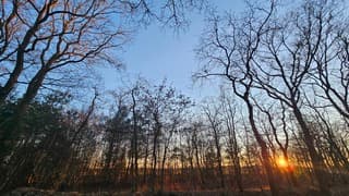 Ondergaande zon met vliegtuigstrepen 