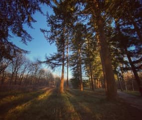 Prachtige koude maar zonnige 2e kerstdag De Bilt, 15:15 uur 
