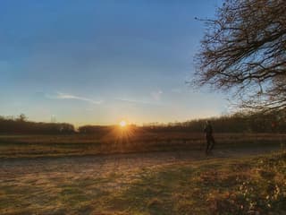 Even joggen voor wat beweging, De Bilt om 15:55