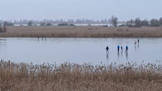 Schaatsen op de Oostvaardersplassen