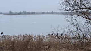 Schaatsen op de Oostvaardersplassen 