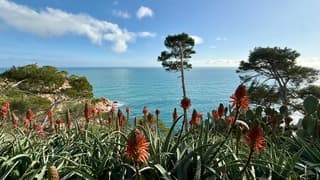  Costa Brava na ruim week regen