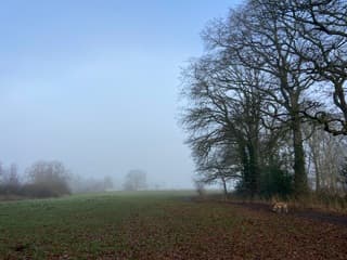 Ook in het noorden blijft het mistig