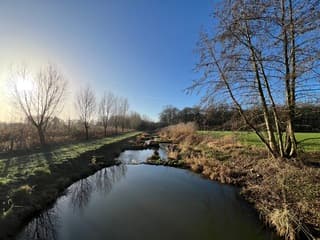 Zon en strakblauwe lucht 
