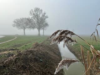 Mist bij Oostwold (Oldambt)