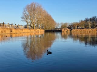 veel blauwe lucht vandaag en amper wind...