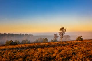 Zonsondergang op de Sallandse Heuvelrug