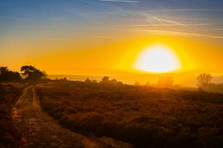 Zonsondergang Sallandse Heuvelrug